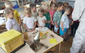 W krainie pracowitych pszczół (6)