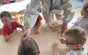 W krainie pracowitych pszczół (7)