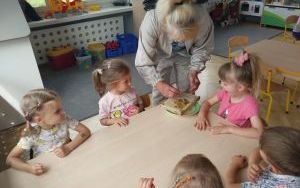 W krainie pracowitych pszczół (8)