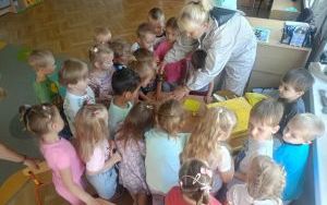 Spotkanie z pszczelarzem w grupie Puchatki (10)