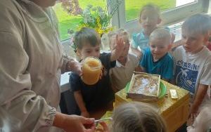 Spotkanie z pszczelarzem w grupie Puchatki (1)